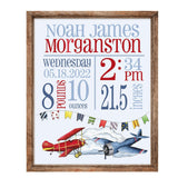Airplanes Birth Statistics Art Print