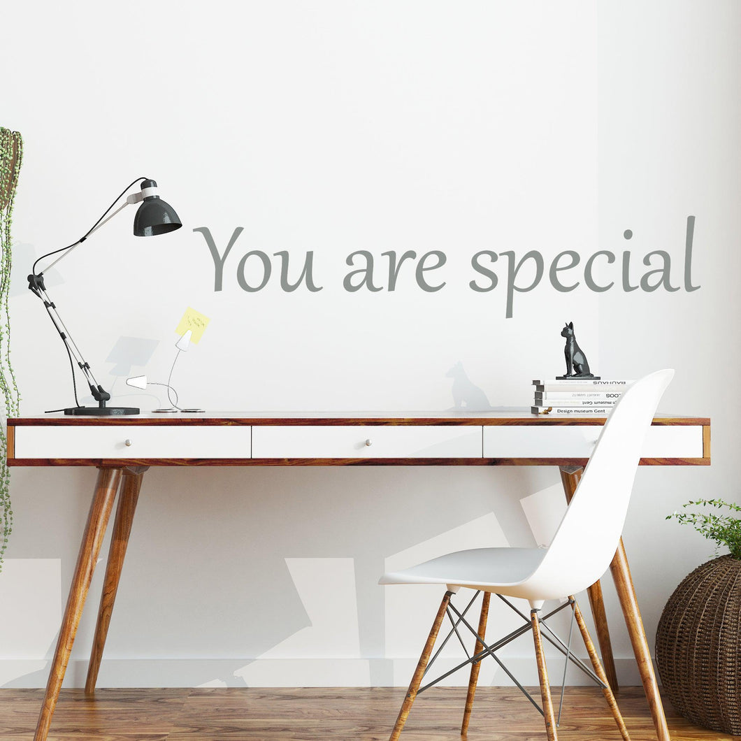 Vinyl Wall Decal - You Are Special