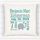 Birth Statistics Pillow - Embroidered Teal Elephant Design